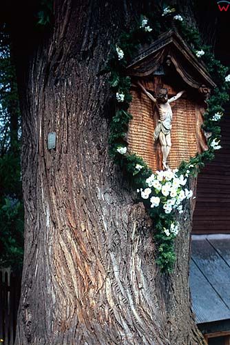 Trybsz, kapliczka na drzewie przy kościele